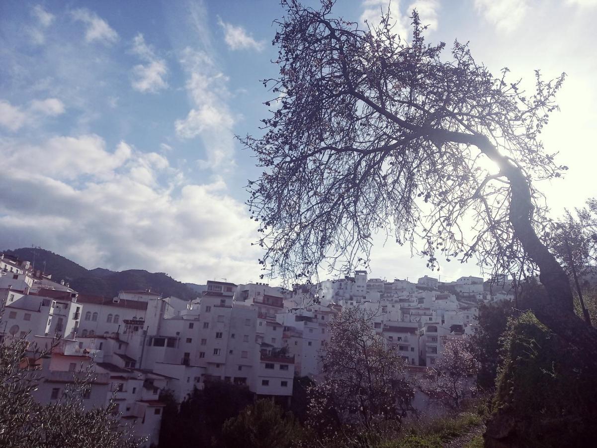 Casa Pepe La Rosa Atico Apartment Tolox Bagian luar foto